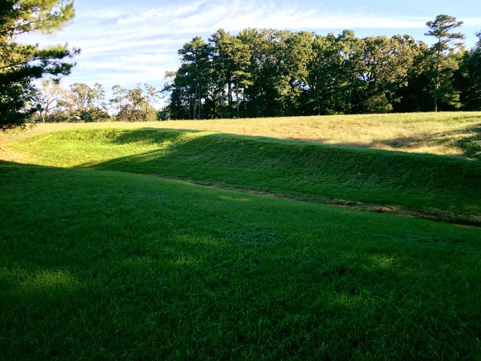 After: Lush, green turf grass for erosion control.